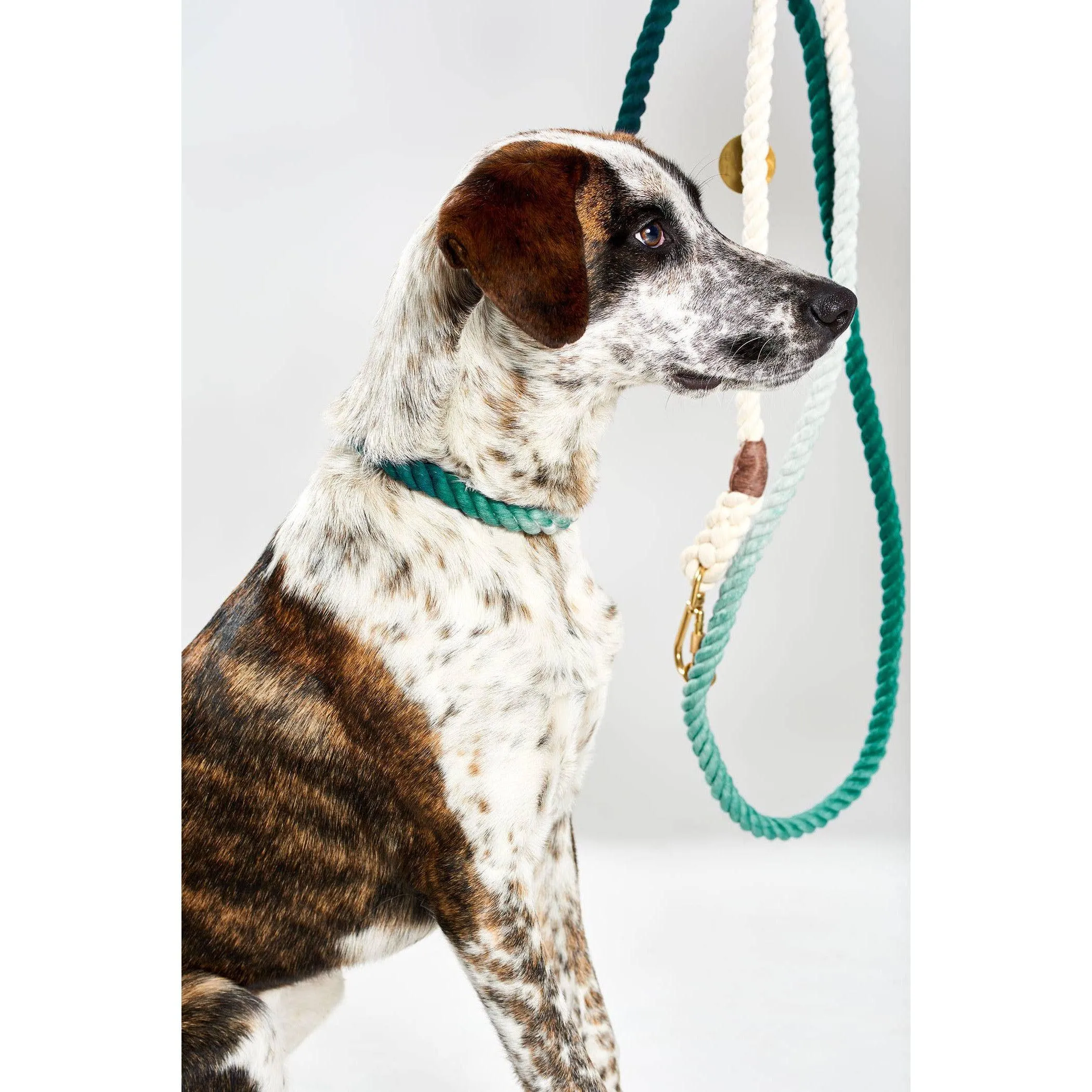 Found My Animal | Original Adjustable Teal Ombre Rope Dog Lead